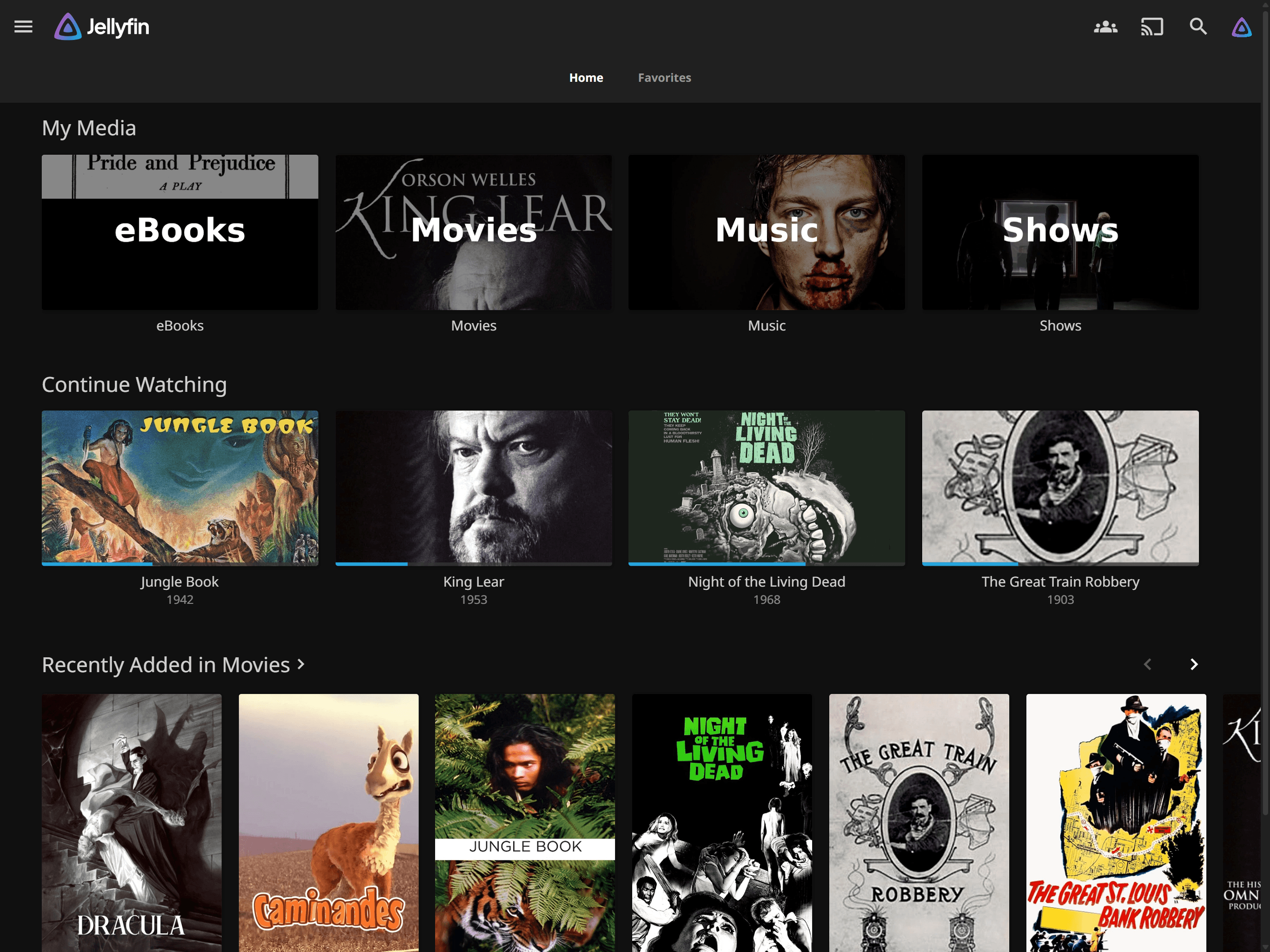 Jellyfin screenshot 1
